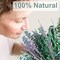 65 Pcs Mix Dried Eucalyptus Stems & Lavender Bundle for Shower, 17" Natural Real Preserved Eucalyptus Leaves Greenery, Lavender for Hanging Shower Plants, Flower Arrangements, Vase Decor